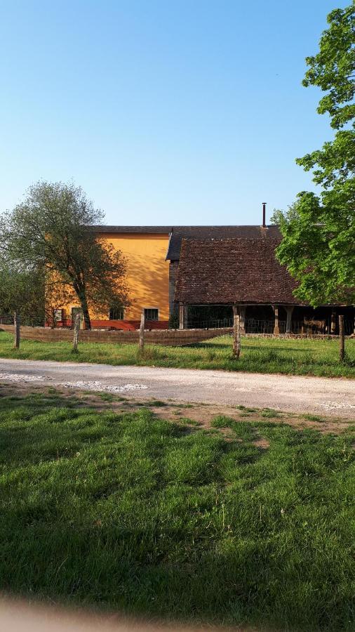La Maison Du Potier Proche De Guedelon Saint-Amand-en-Puisaye Exterior photo